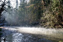 2006mangfallwinter.jpg