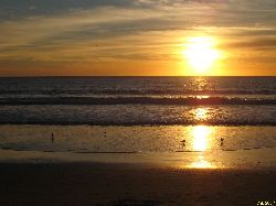 2007sunset_la.jpg
